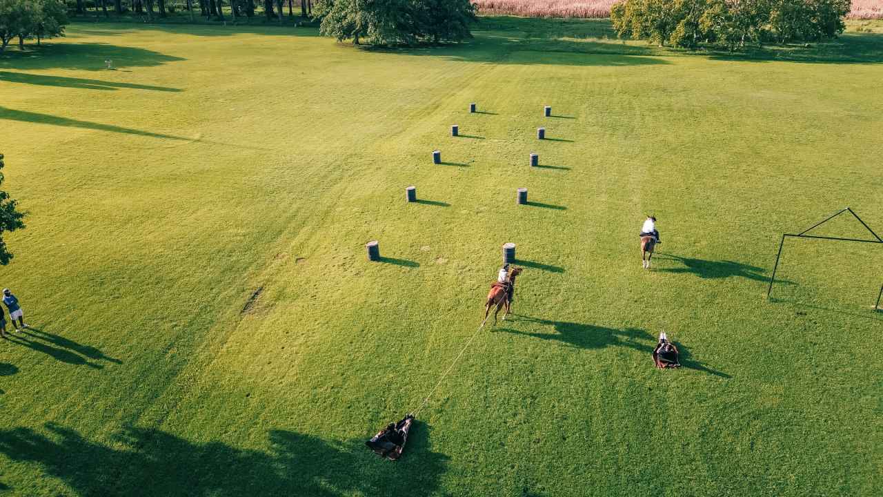 Exteriores naturales