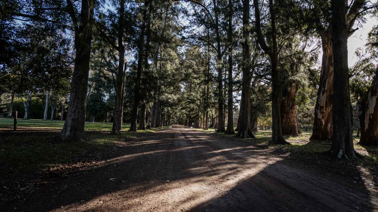 Exteriores naturales