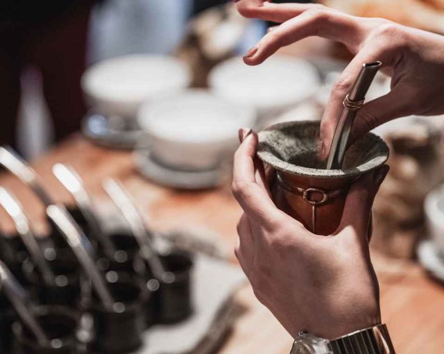 dia-campo-gallery-04