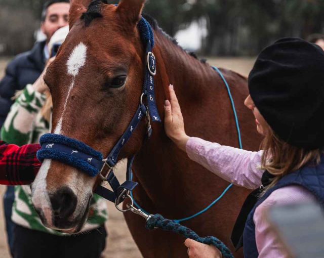 dia-campo-gallery-05