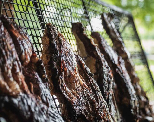 dia-campo-gallery-10